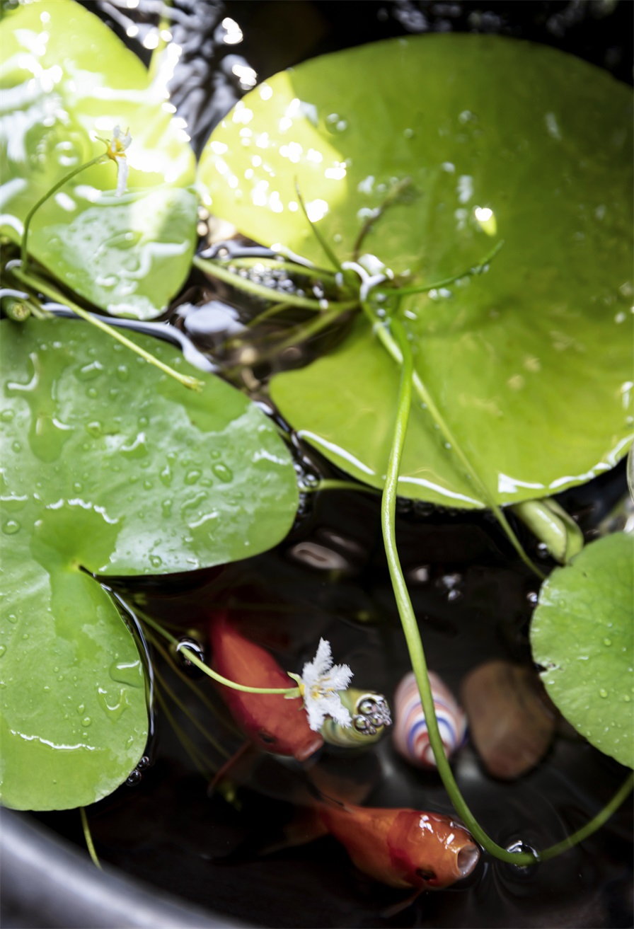 1685947295291626.jpg 143A8320.JPG